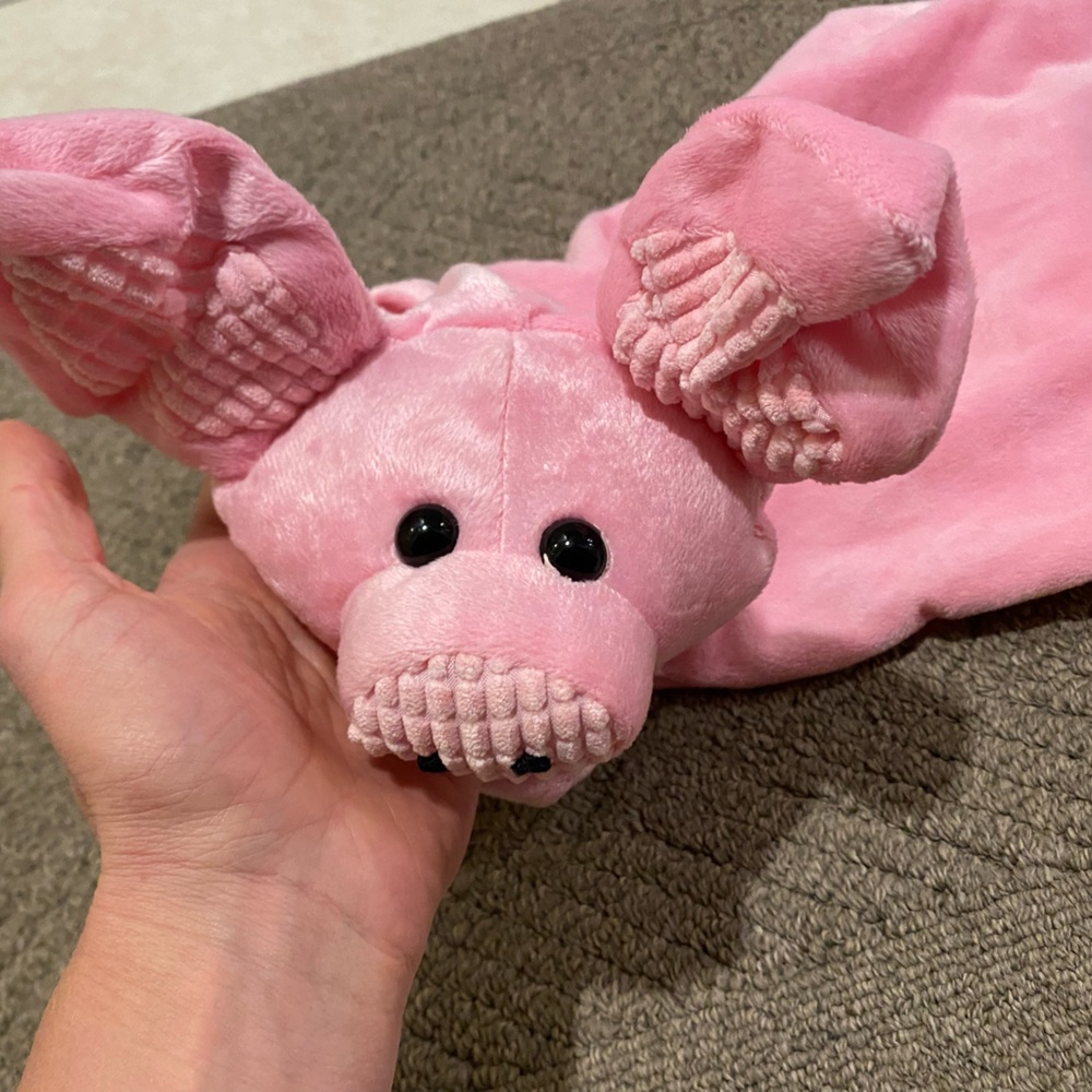 Pig Dog Costume